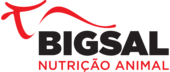 Logo - Bigsal